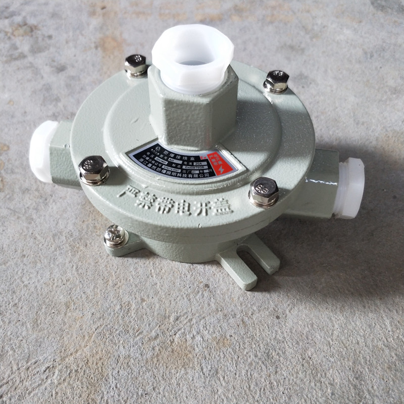 AH-G3/4-G防爆直通吊燈接線盒